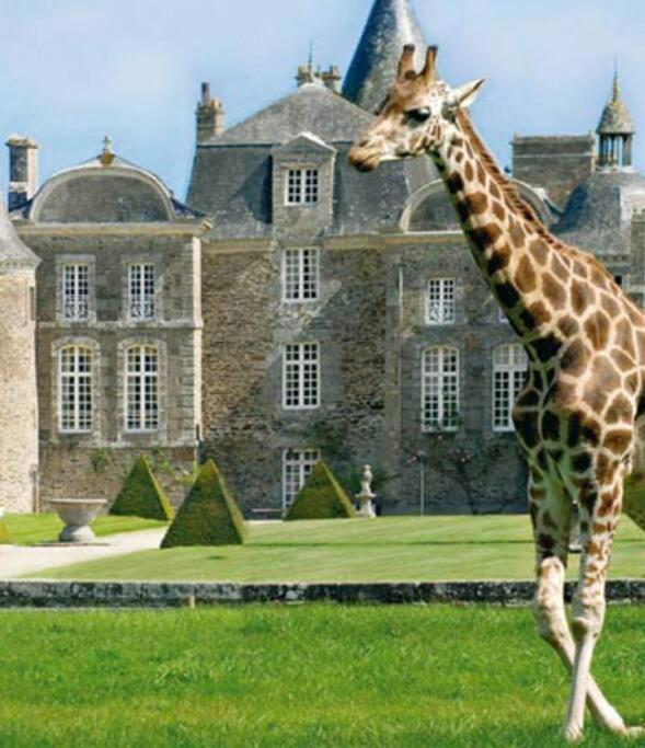 La Baie Du Mont Appartement De Vacances Proche Du Mont Saint Michel Roz-sur-Couesnon Εξωτερικό φωτογραφία